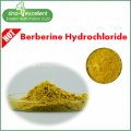 Berberine hydrochloride 97% herb extract